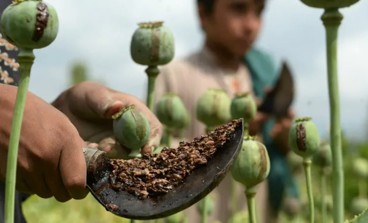 از جمله عوارض شربت اپیوم می‌توانیم به مشکلات گوارشی، تنفسی، پوستی و اختلالات خواب اشاره کنیم.