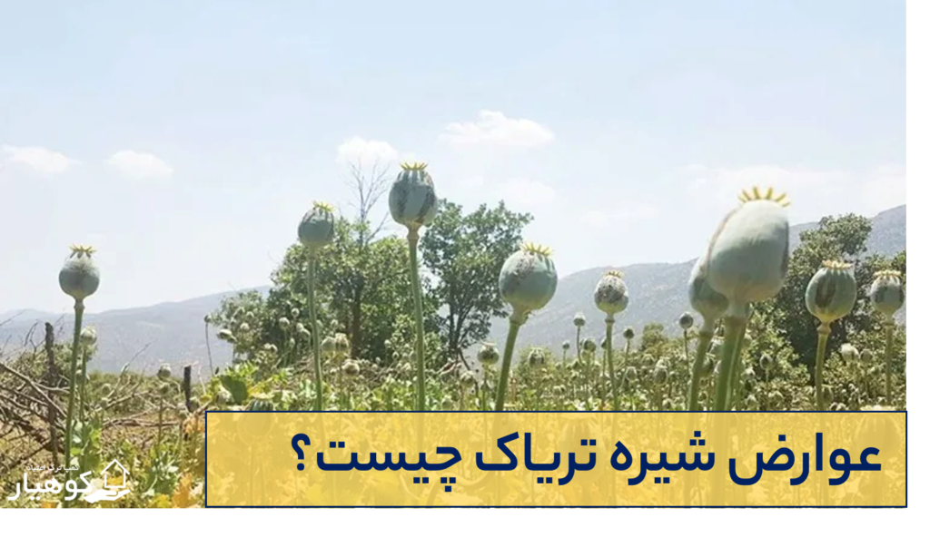 شیره در دسته مواد مخدر سنتی قرار می‌گیرد زیرا منشا آن گیاه خشخاش است.